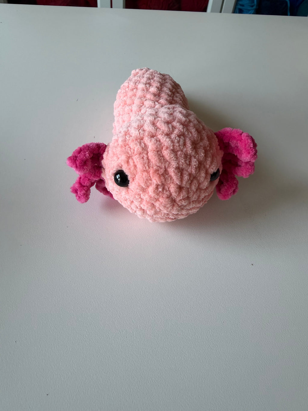 Axolotl
