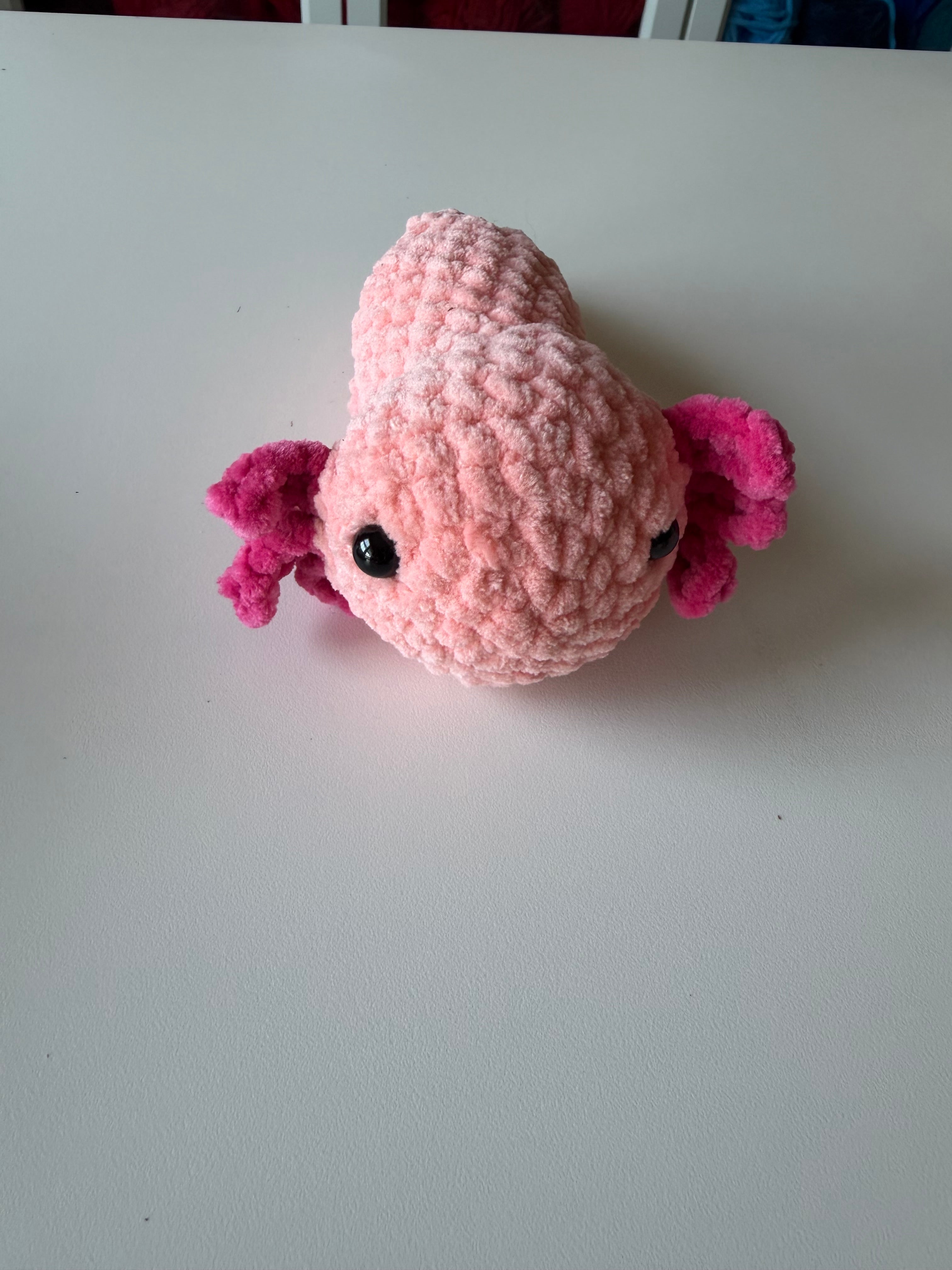 Axolotl
