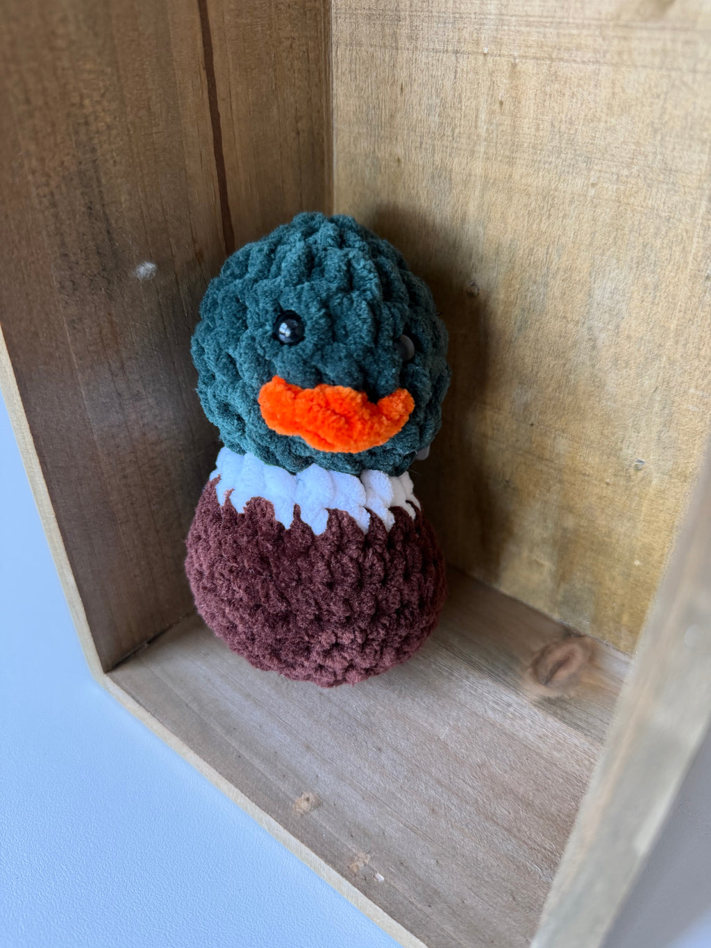 Duck