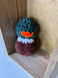 Duck
