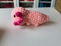 Axolotl