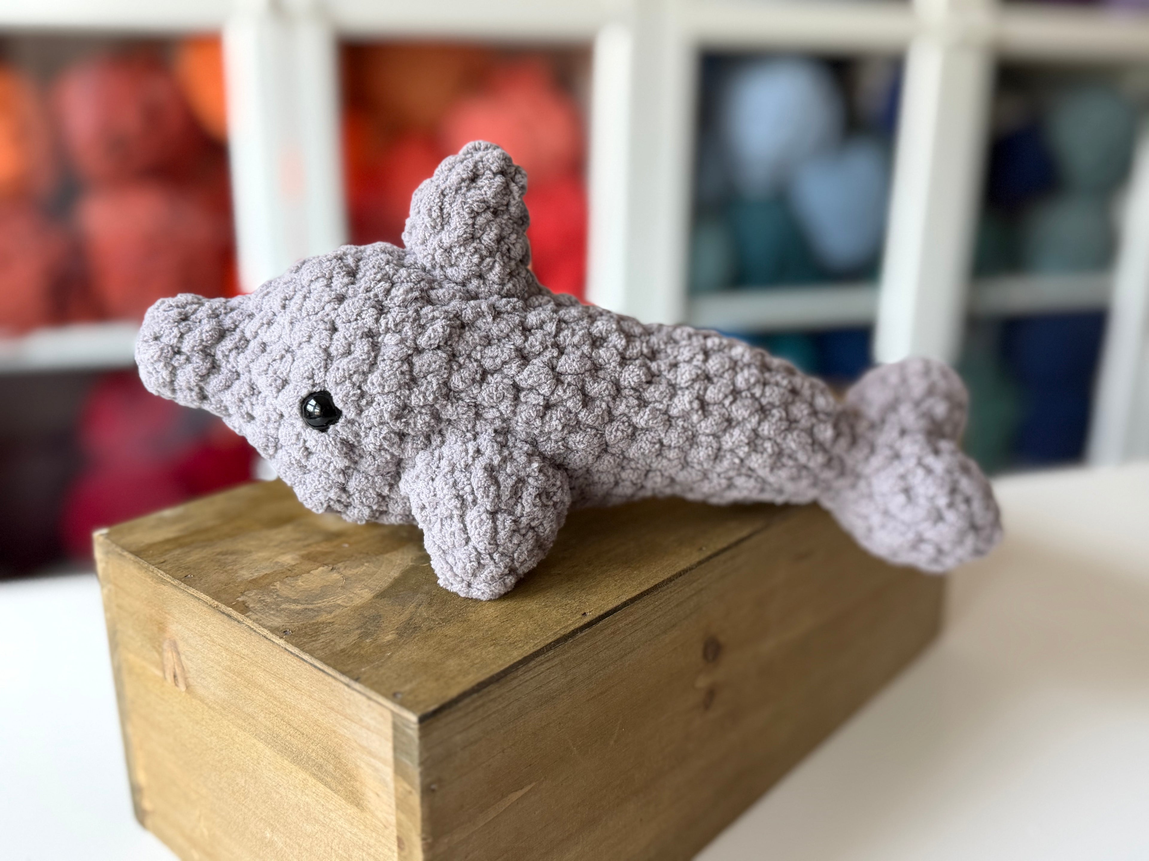 Dolphin