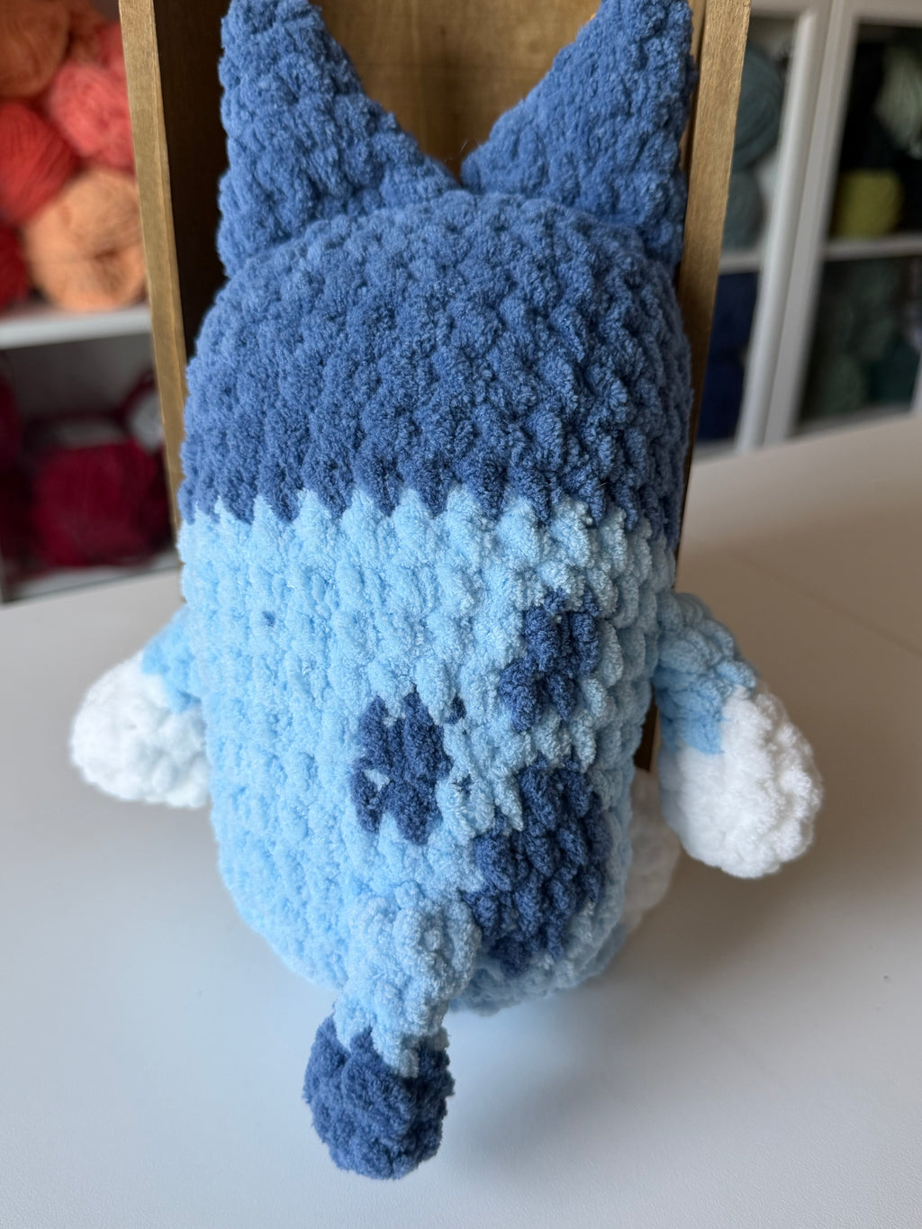 Blue Heeler